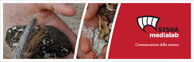 SISSA Medialab Company Portfolio // Company Portfolio Book ( Concept and graphic design )