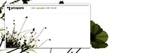 Prospero web 2008 // New style for graphic and multimedia company ( Graphic design and CSS / through Prospero )